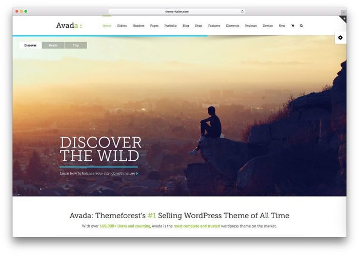 Best WordPress Selling Theme Avada