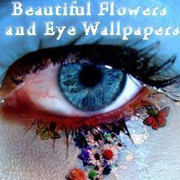 Beautiful Flowers and Eye Wallpapers