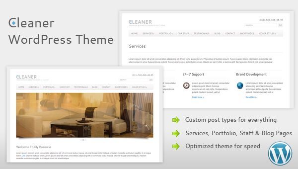 cleaner business WordPress theme