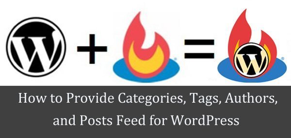 How-to-Provide-Categories-Tags-Authors-Posts-Feed-WordPress