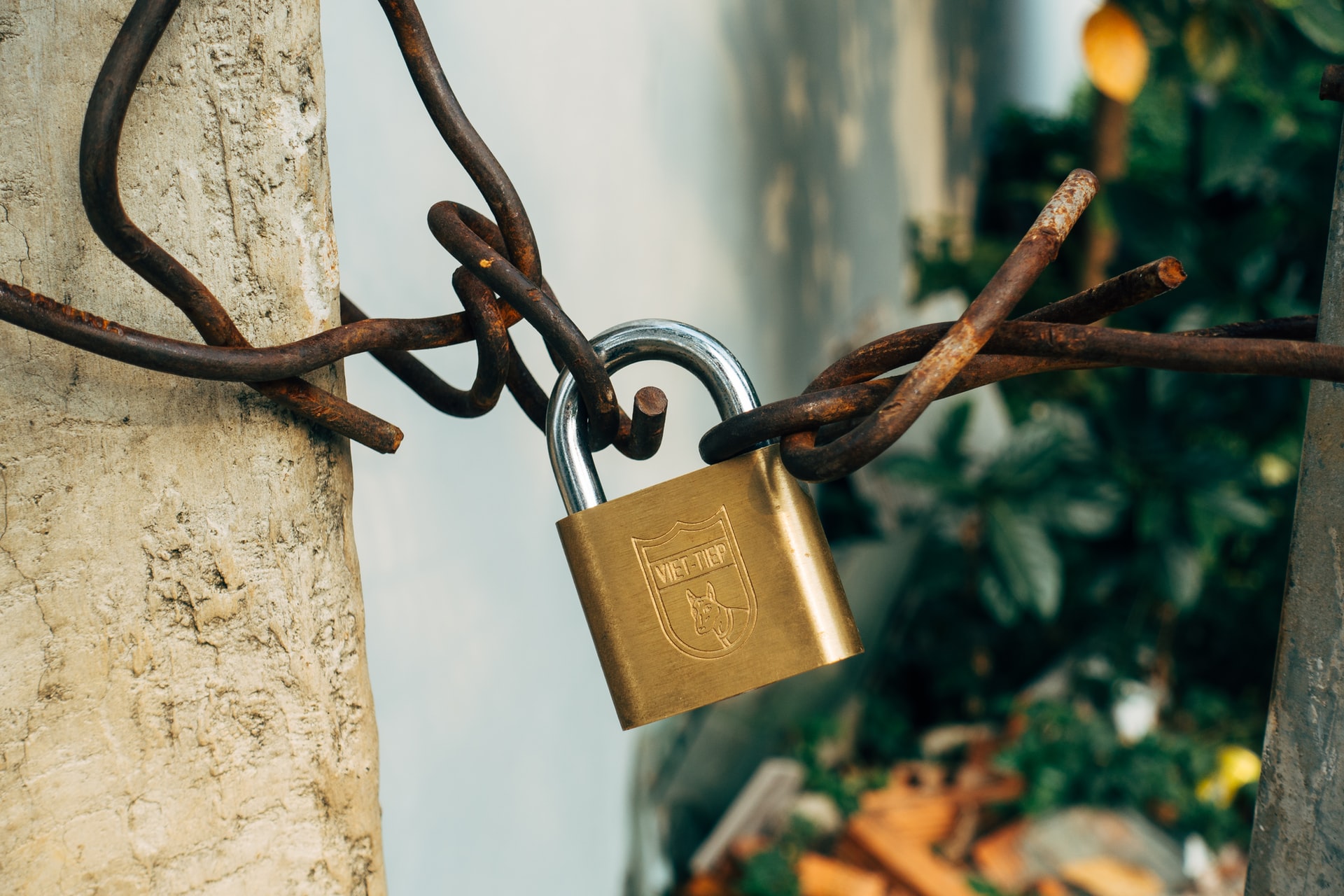 A lock showing Password Managers