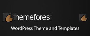 Tips for Choosing the Best Premium WordPress Theme in ThemeForest