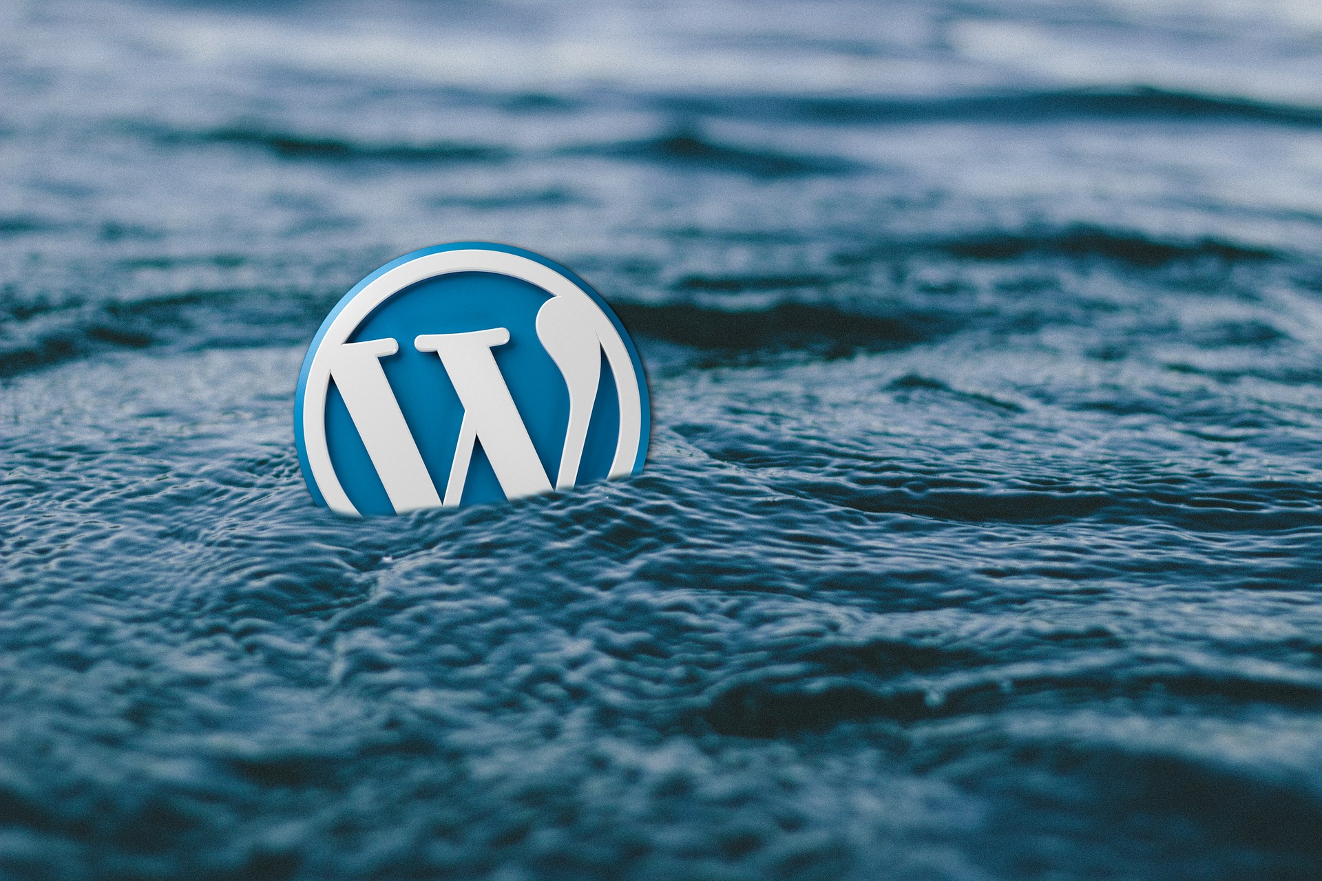 wordpress logo in a sea