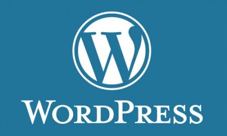 WordPress Version Updates