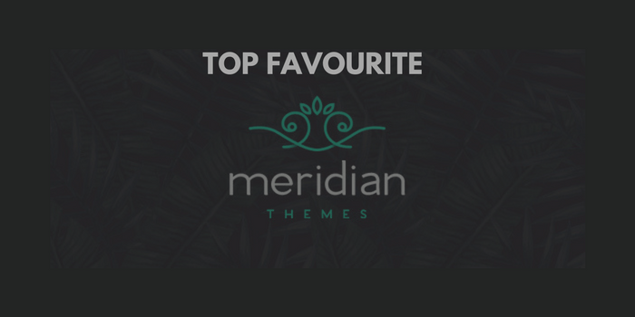 Our 6 Favourite Templates From Meridian Themes