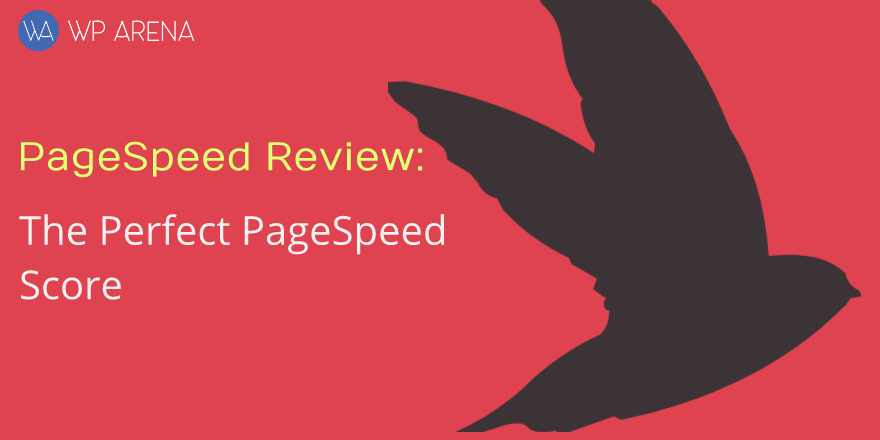 pagespeed-review