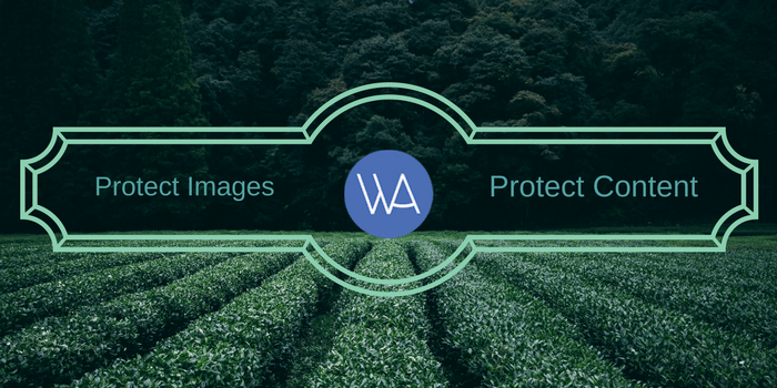 protect images and content